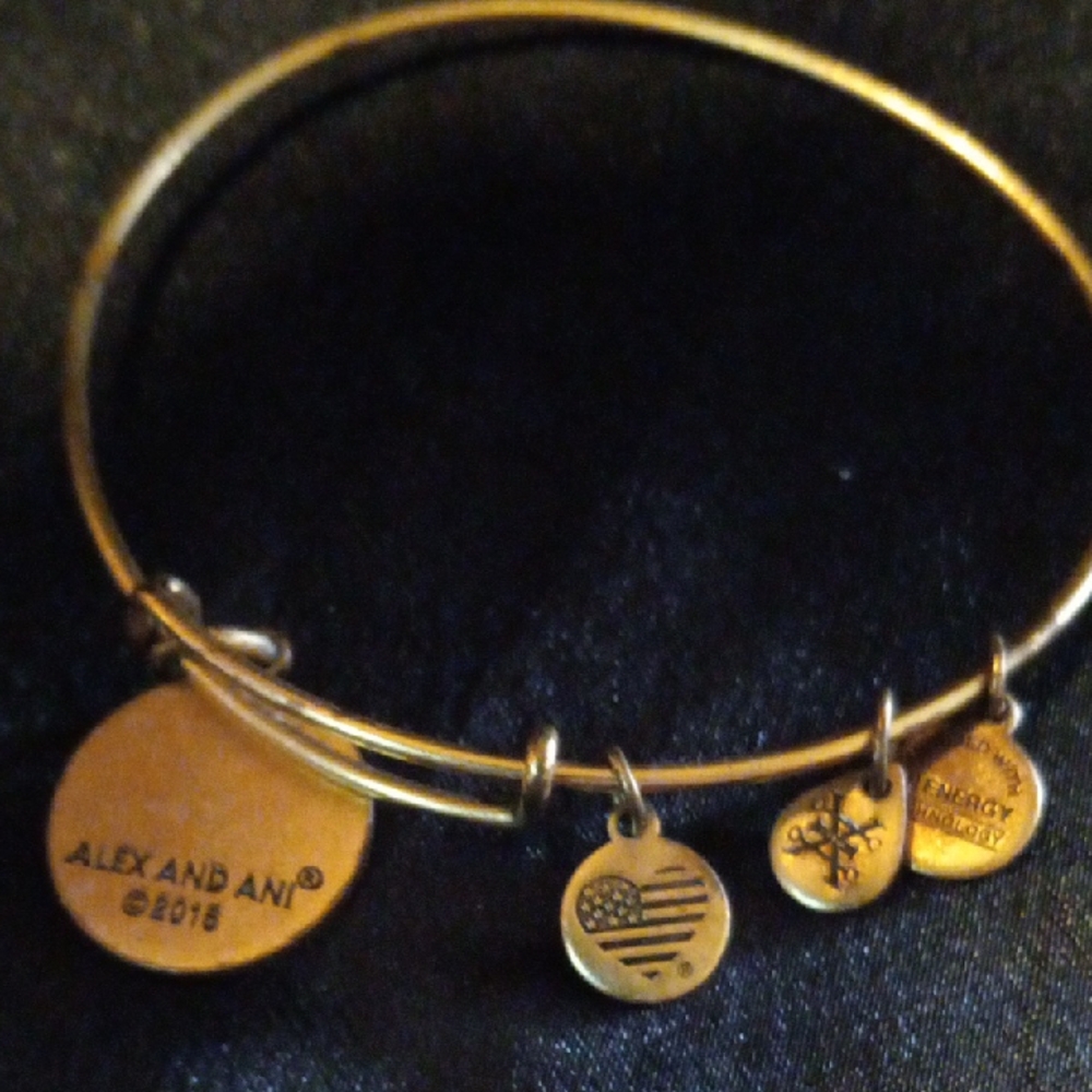 Alex and Ani Gold Charm Bracelet